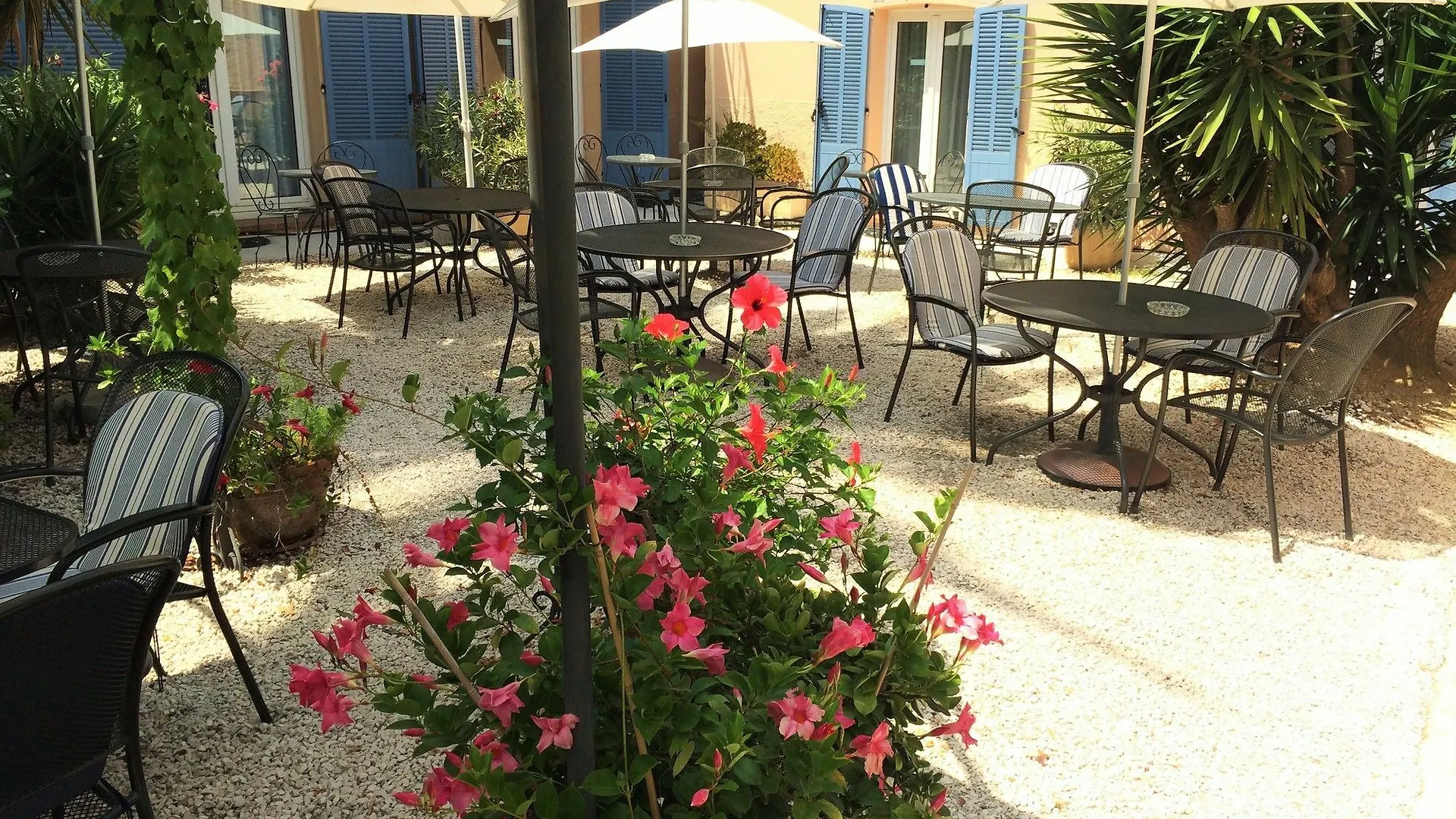 Hotel L'Olivier - Piscine & Parking Cannes